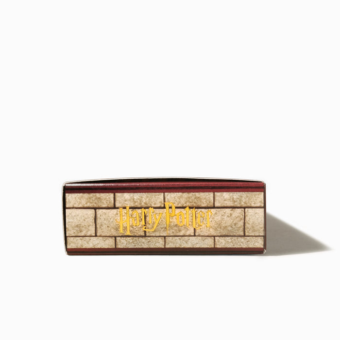 Carousel Fountain Pen & 10ml Ink Set Harry Potter Houses of Hogwarts Gryffindor House - 八文字屋OnlineStore