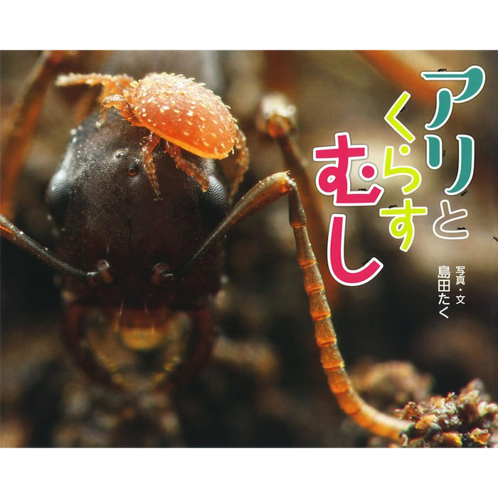 ふしぎいっぱい写真絵本（特選25巻）