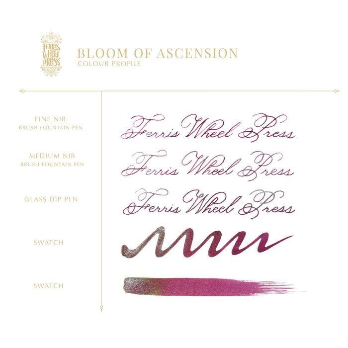 The Book of Knights Bloom of Ascension The Ink Pot - 八文字屋OnlineStore