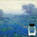 Respect Collection Bluebonnets at Sunrise - 八文字屋OnlineStore
