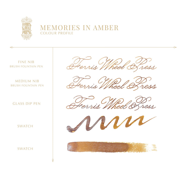 Vintage Photographer Collection Memories in Amber