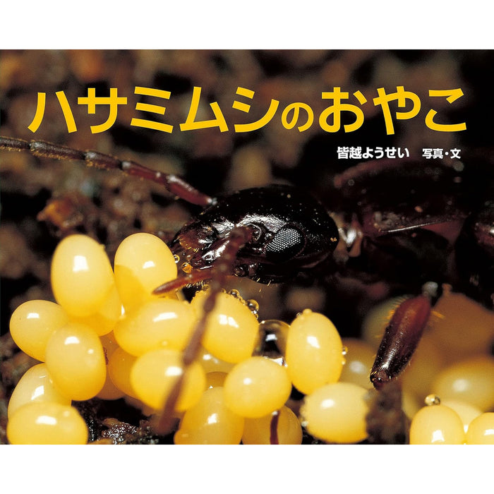 ふしぎいっぱい写真絵本（特選25巻）