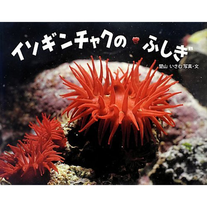 ふしぎいっぱい写真絵本（特選25巻）