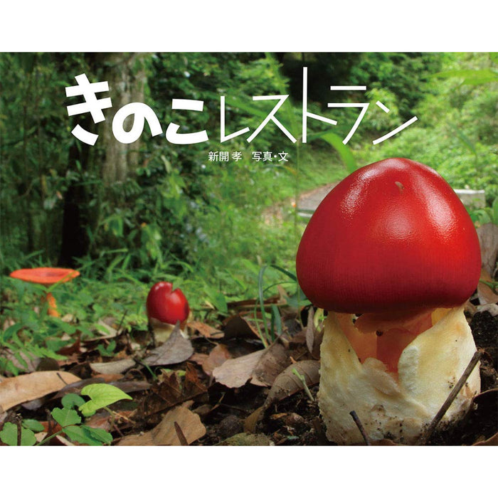 ふしぎいっぱい写真絵本（特選25巻）