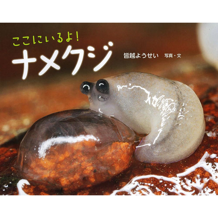 ふしぎいっぱい写真絵本（特選25巻）