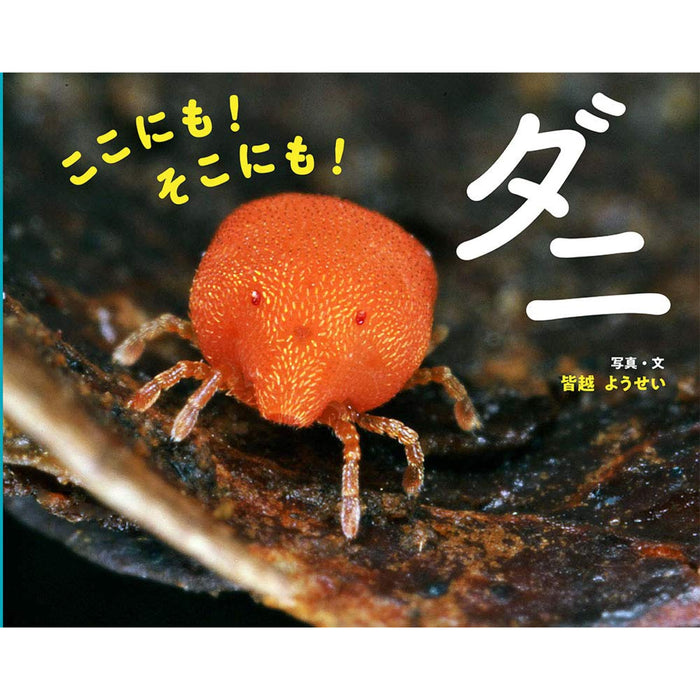 ふしぎいっぱい写真絵本（特選25巻）