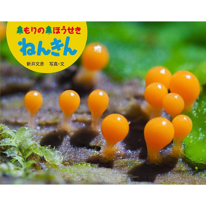 ふしぎいっぱい写真絵本（特選25巻）