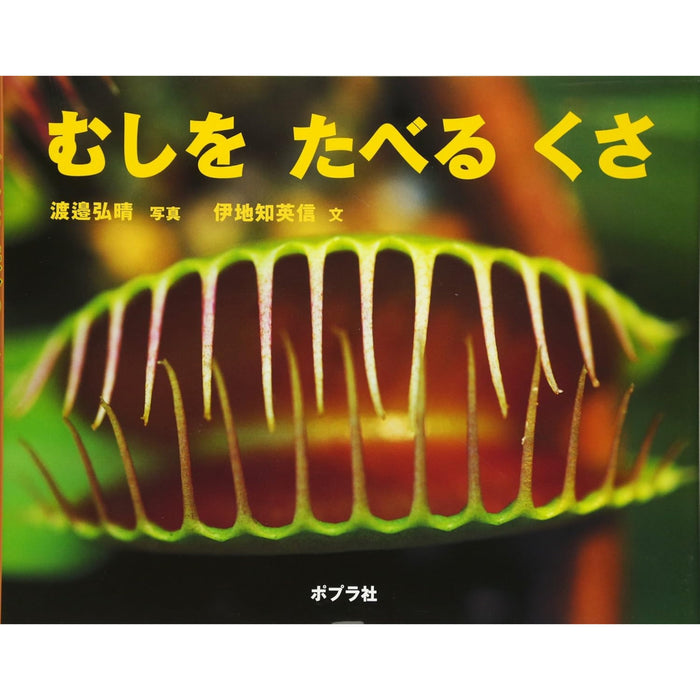 ふしぎいっぱい写真絵本（特選25巻）