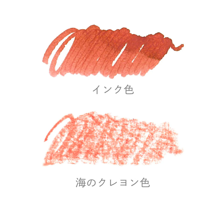 PROFIT jr.+10 海の万年筆 ボトルインクセット 腐海 - 八文字屋OnlineStore