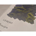 Legend Line Principia - 八文字屋OnlineStore