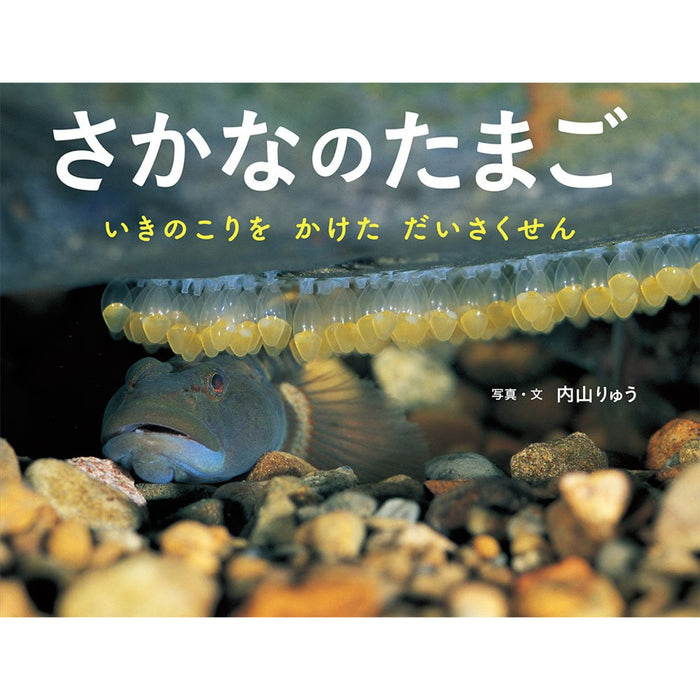 ふしぎいっぱい写真絵本（特選25巻）