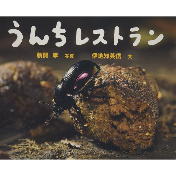 ふしぎいっぱい写真絵本（特選25巻）