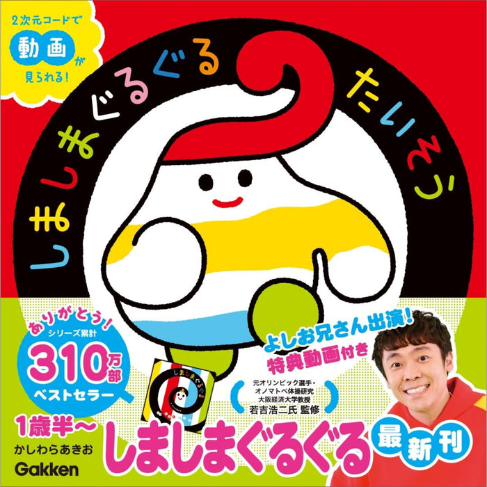 いっしょにあそぼ（12冊セット）