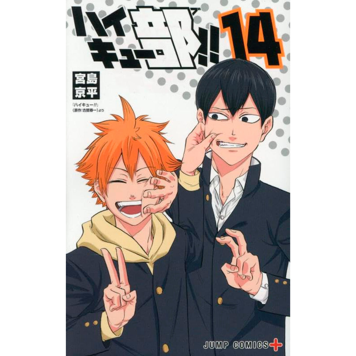 ハイキュー‼︎1〜29巻セット ハイキュー!! セット 1-29巻 ハイキュー!! 29 (ジャンプ