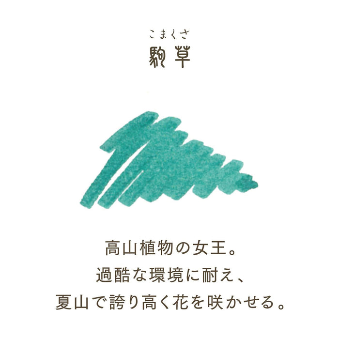 SHIKIORI ―四季織― 山水 駒草