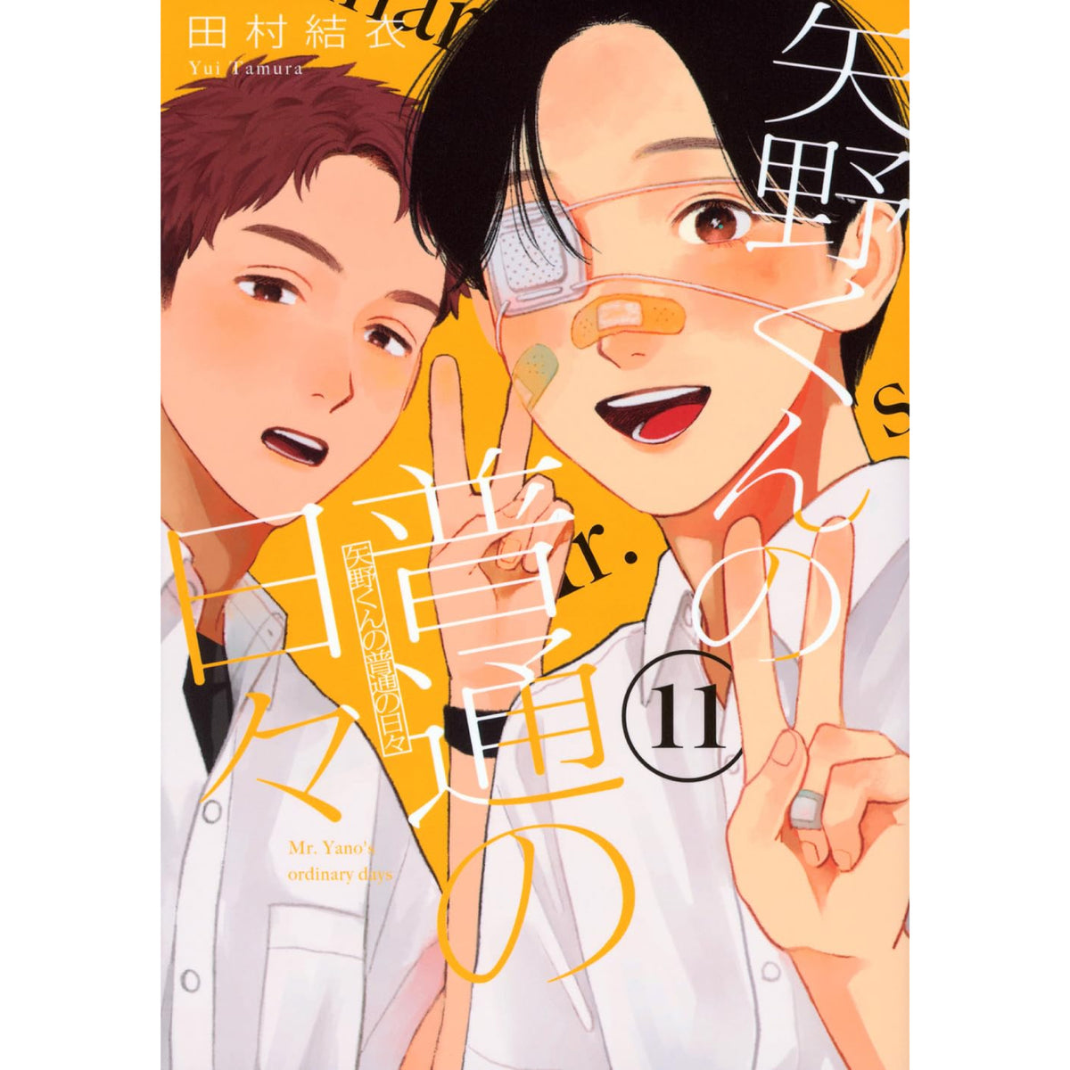 矢野くんの普通の日々 全巻セット（1-11巻 最新刊） | 八文字屋OnlineStore