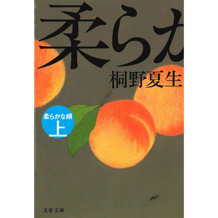桐野夏生 文庫セット（全37冊）