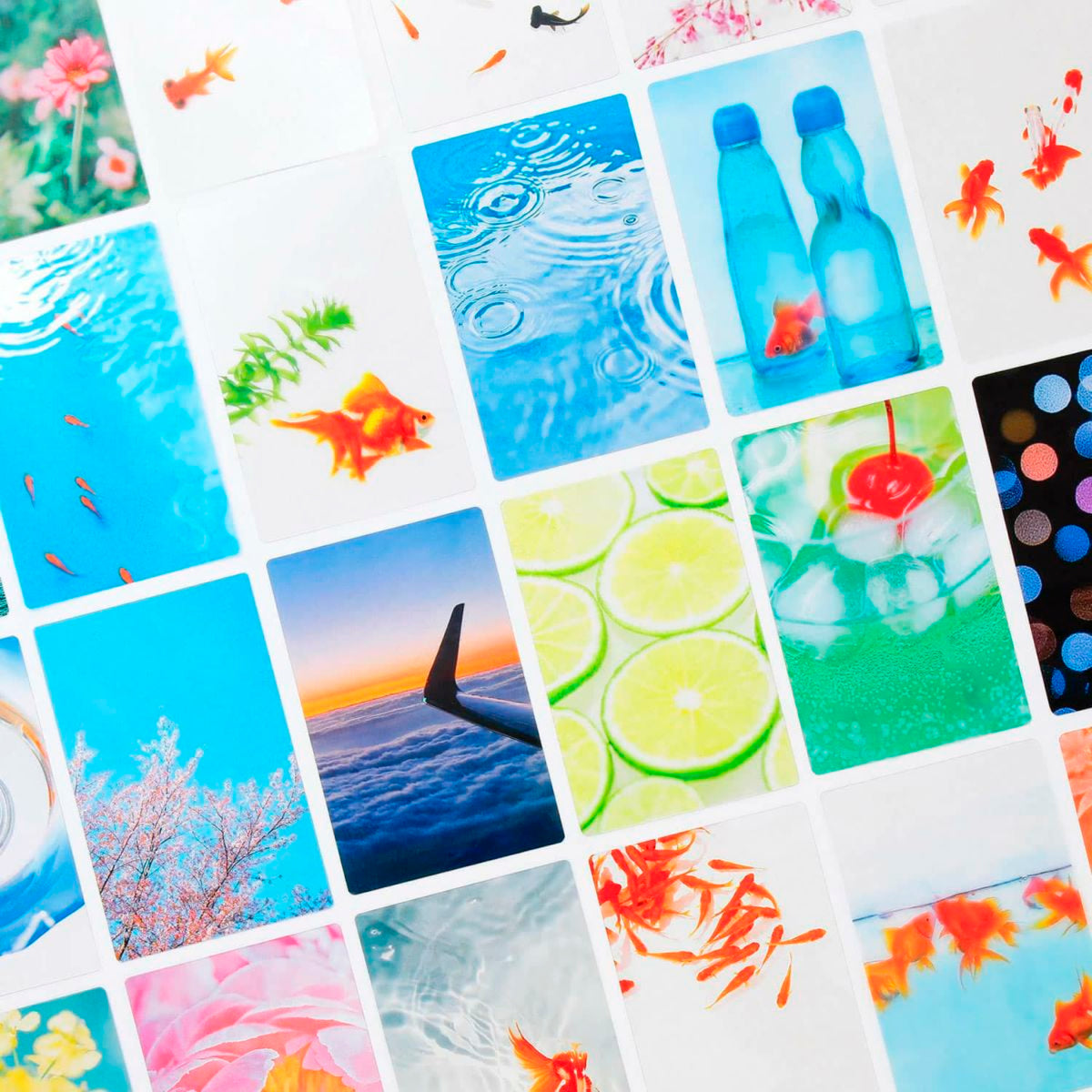 toumeisiori_1_1200x1200.jpg?v=