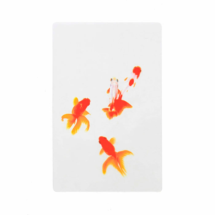 透明写真栞 - 八文字屋OnlineStore