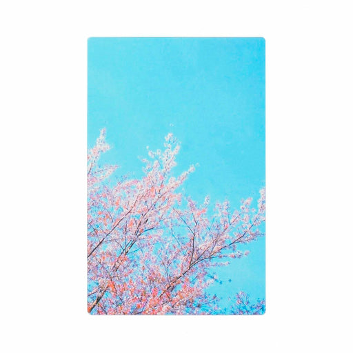 透明写真栞 - 八文字屋OnlineStore