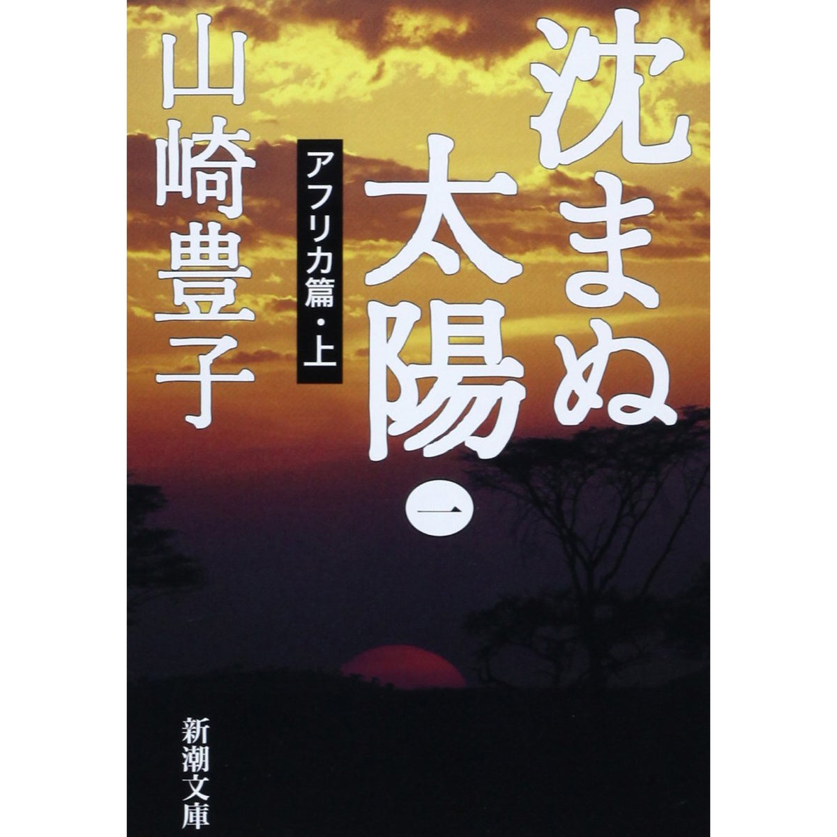 山崎豊子 文庫セット（全42冊）
