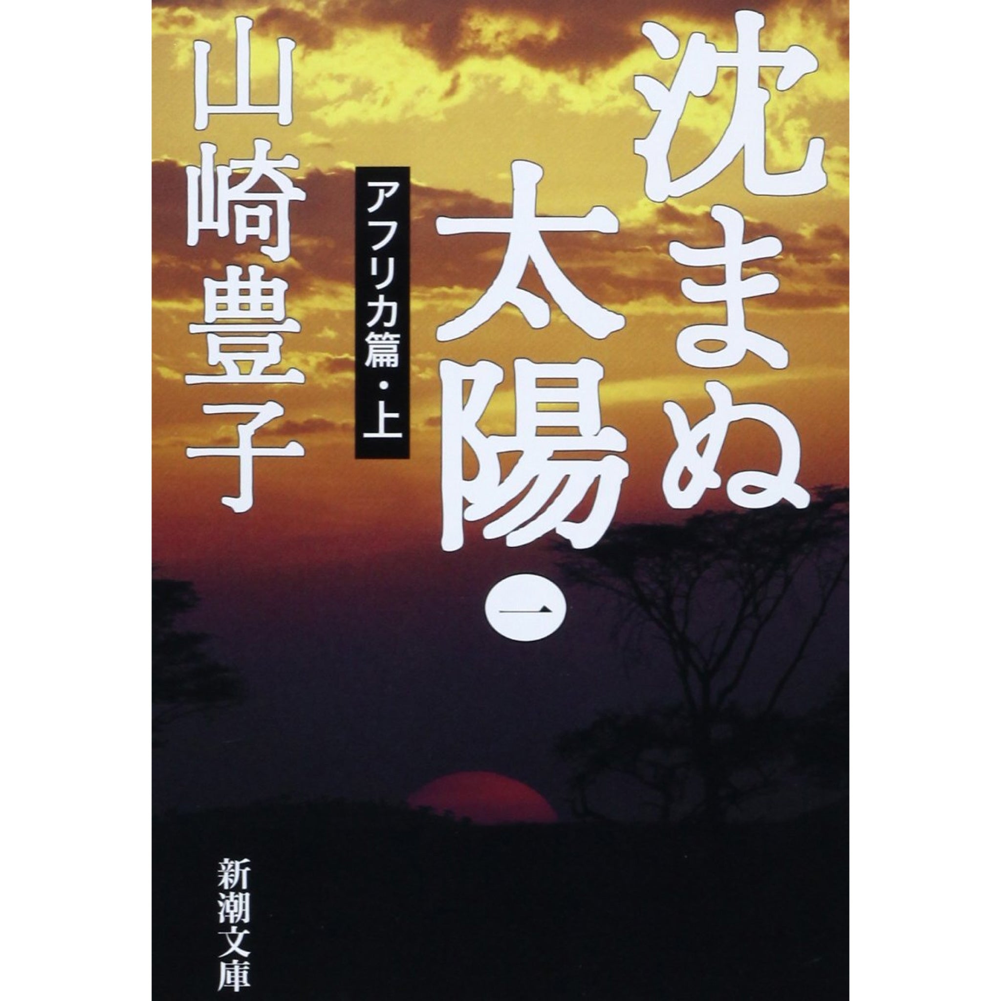 山崎豊子 文庫セット（全42冊） | 八文字屋OnlineStore