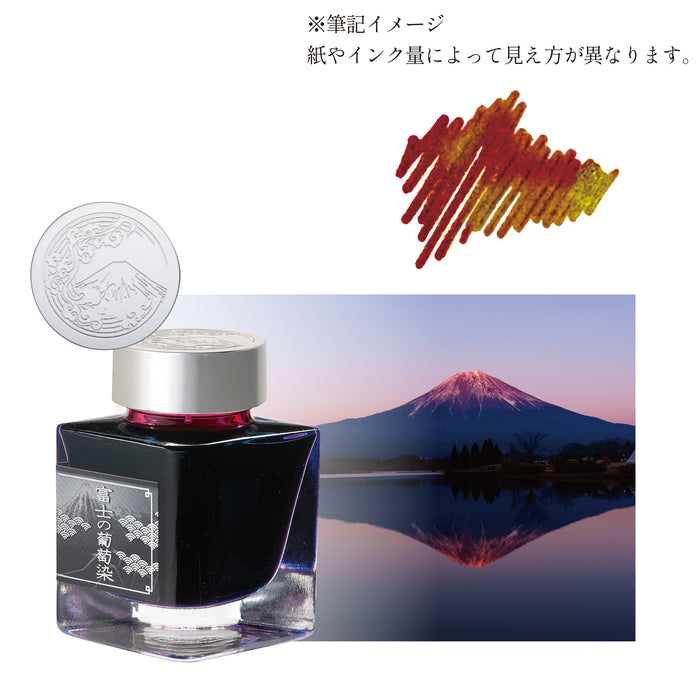 #3776 CENTURY 雲海