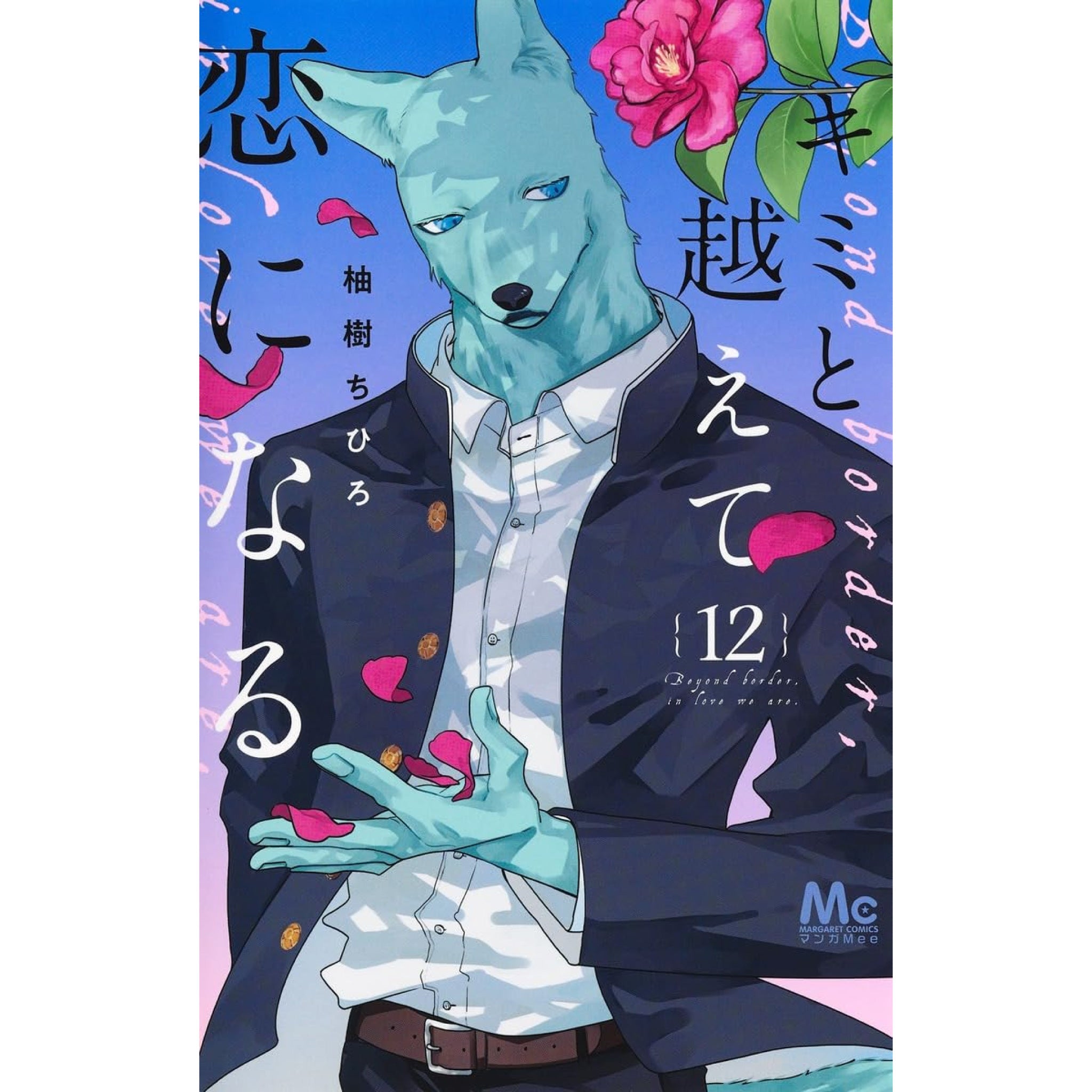 キミと越えて恋になる 全巻セット（1-11巻 最新刊） | 八文字屋OnlineStore